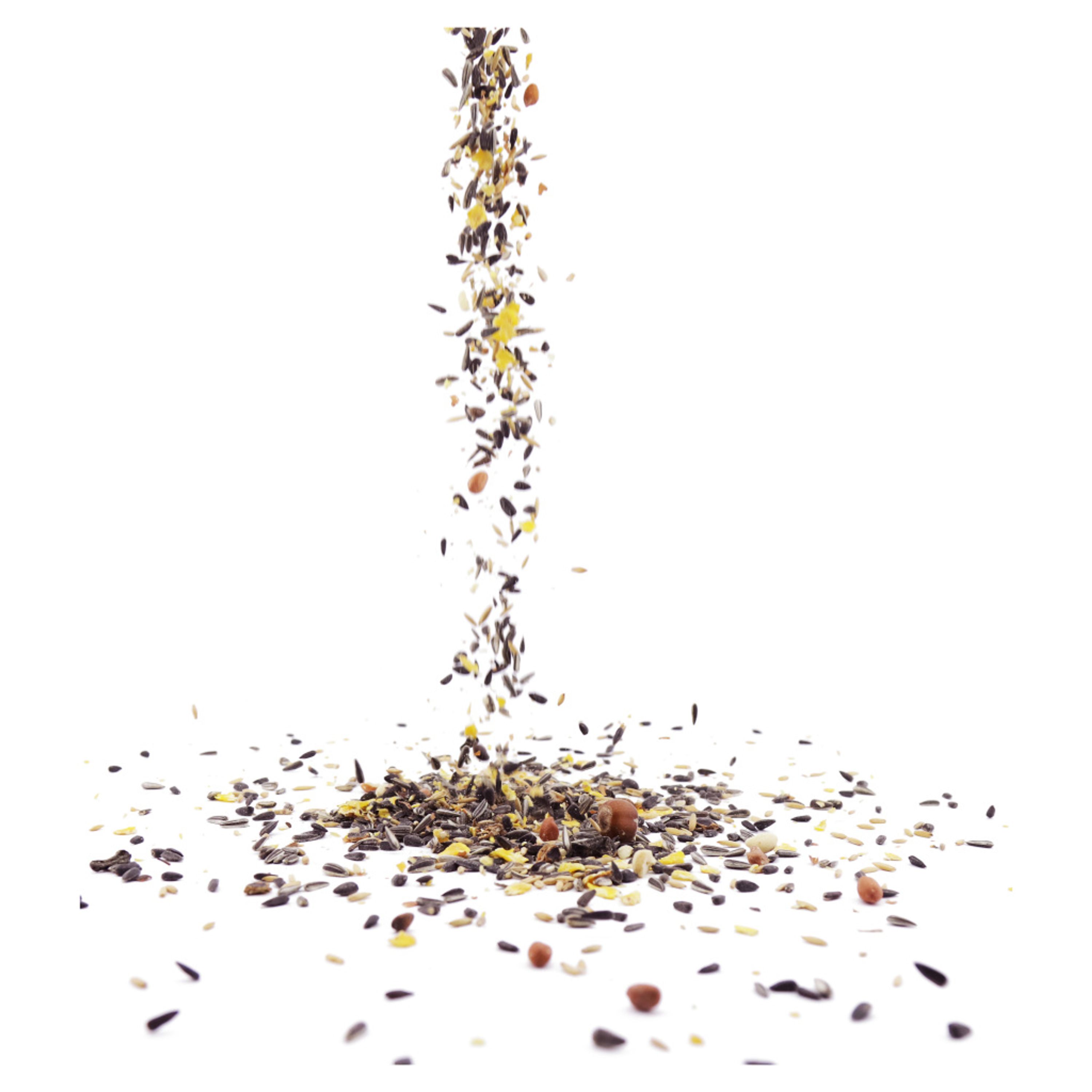 Eichhörnchen-Futtermischung 2 kg | CJ Wildlife